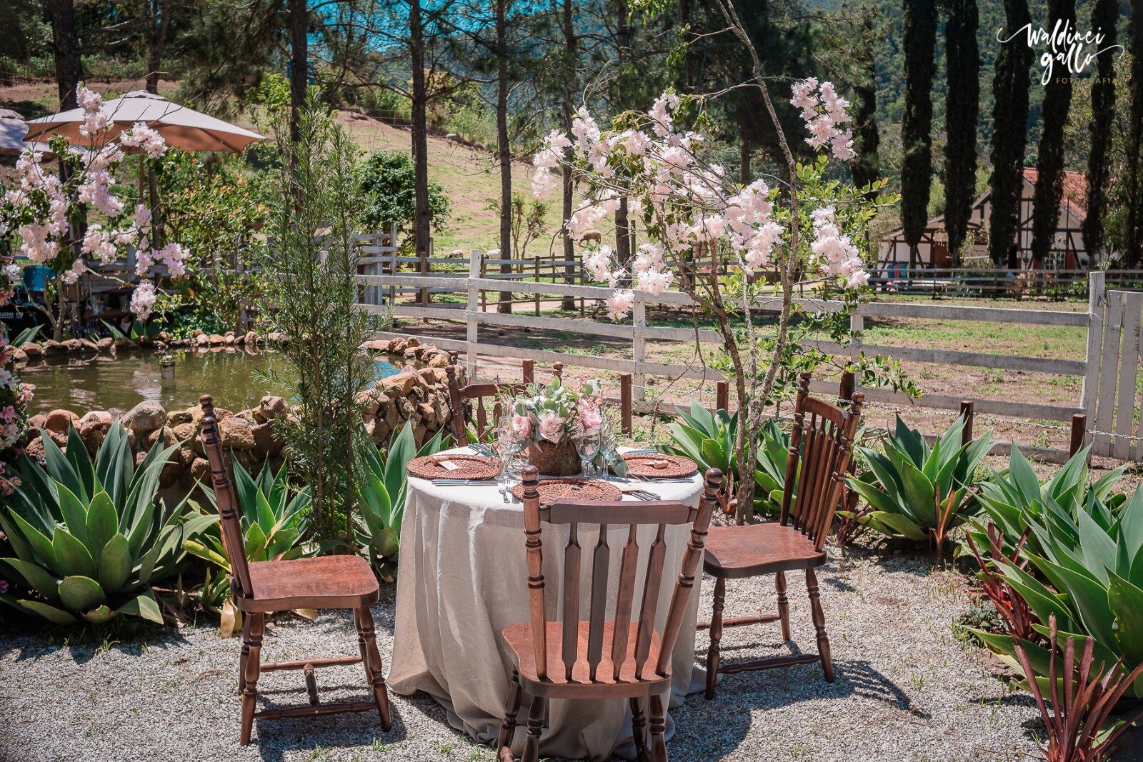 Mesa íntima ao lado do lago com flores de cerejeira