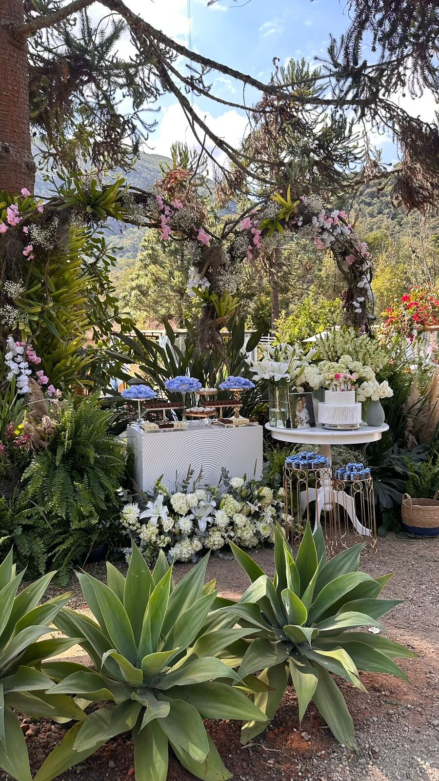 Mesa de bolo e doces com hortênsias para chá revelação