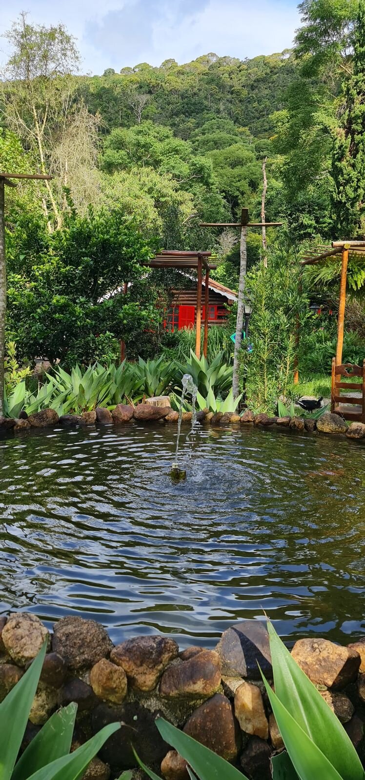 Chafariz no jardim com vista da serra