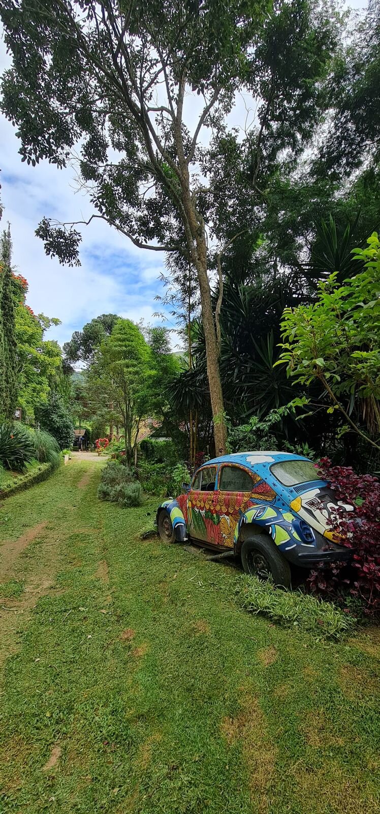 Fusca pintado no jardim da fazenda